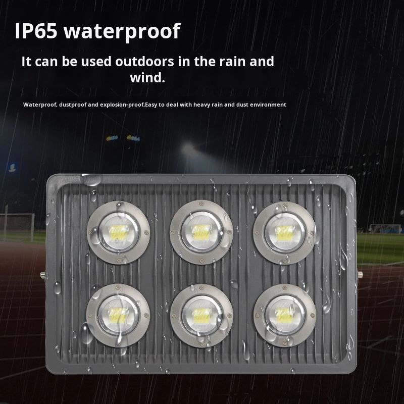 OYLF-016P (2) - 副本.jpg